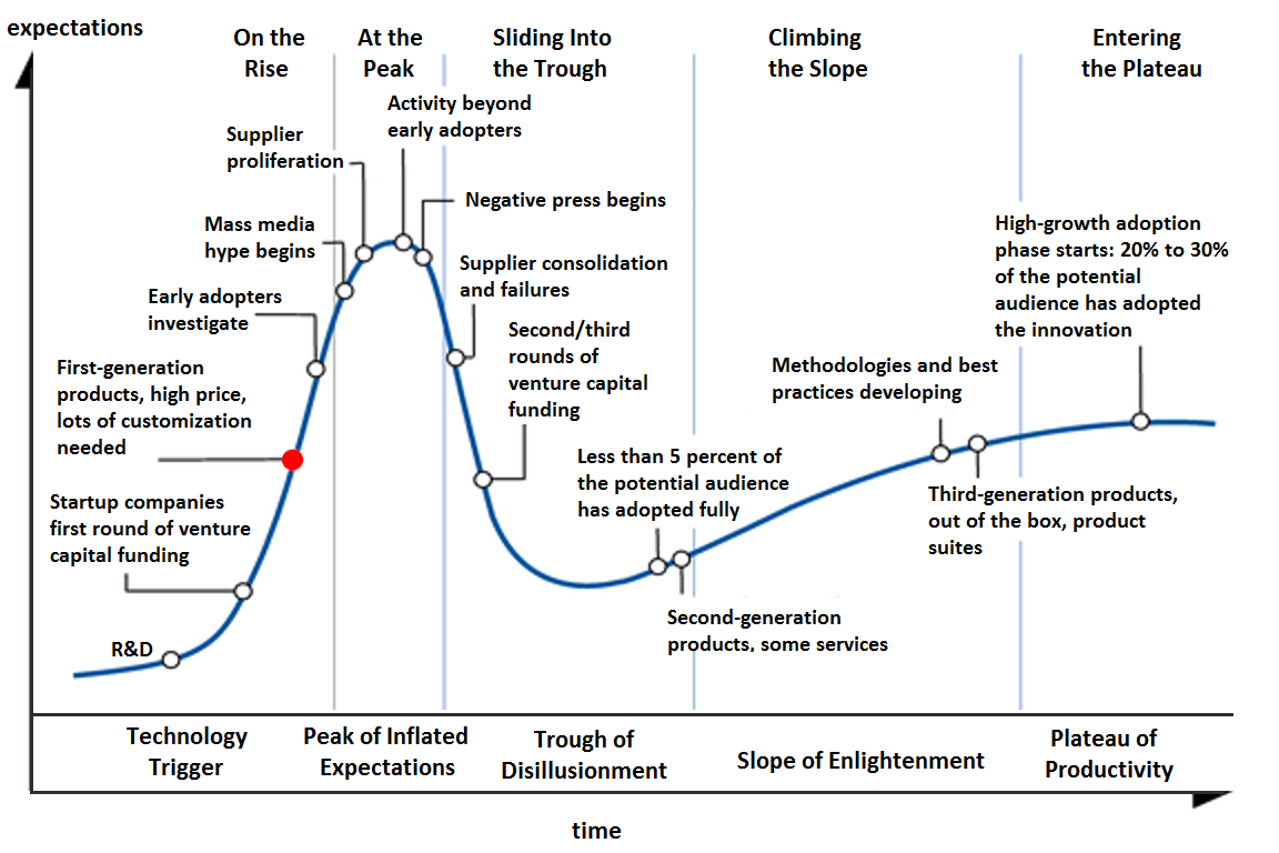 Hype cycle of quantum computing